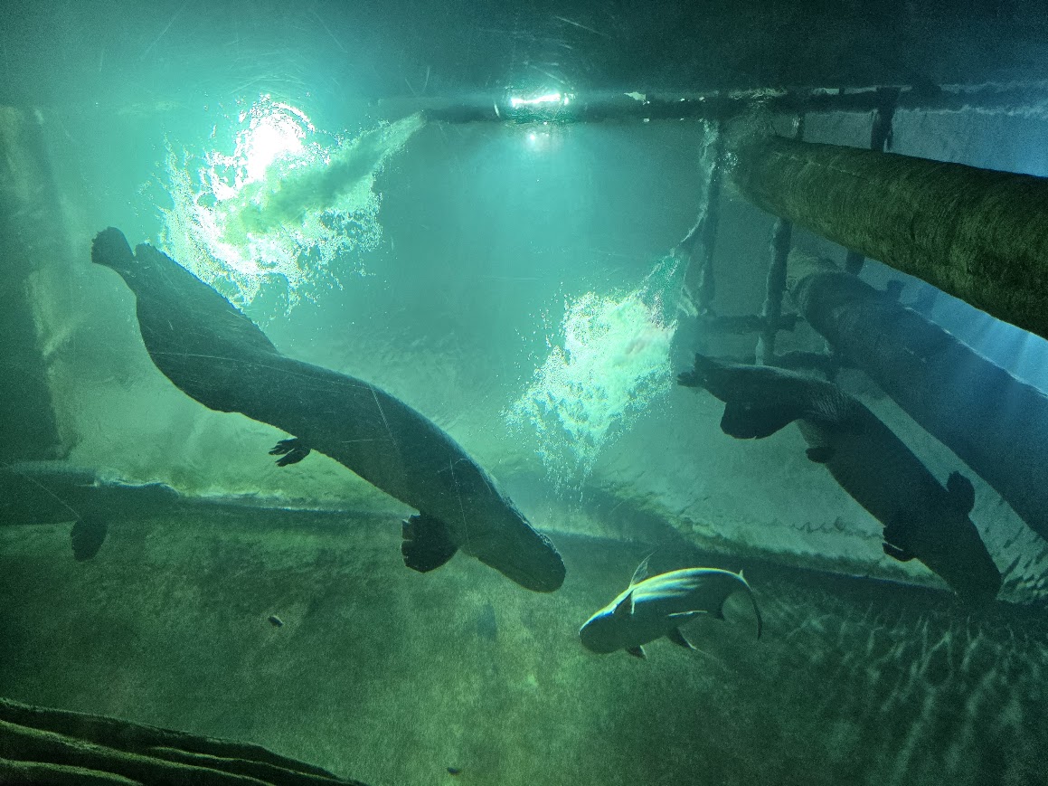 L’ Aquarium fluvial de Saragosse